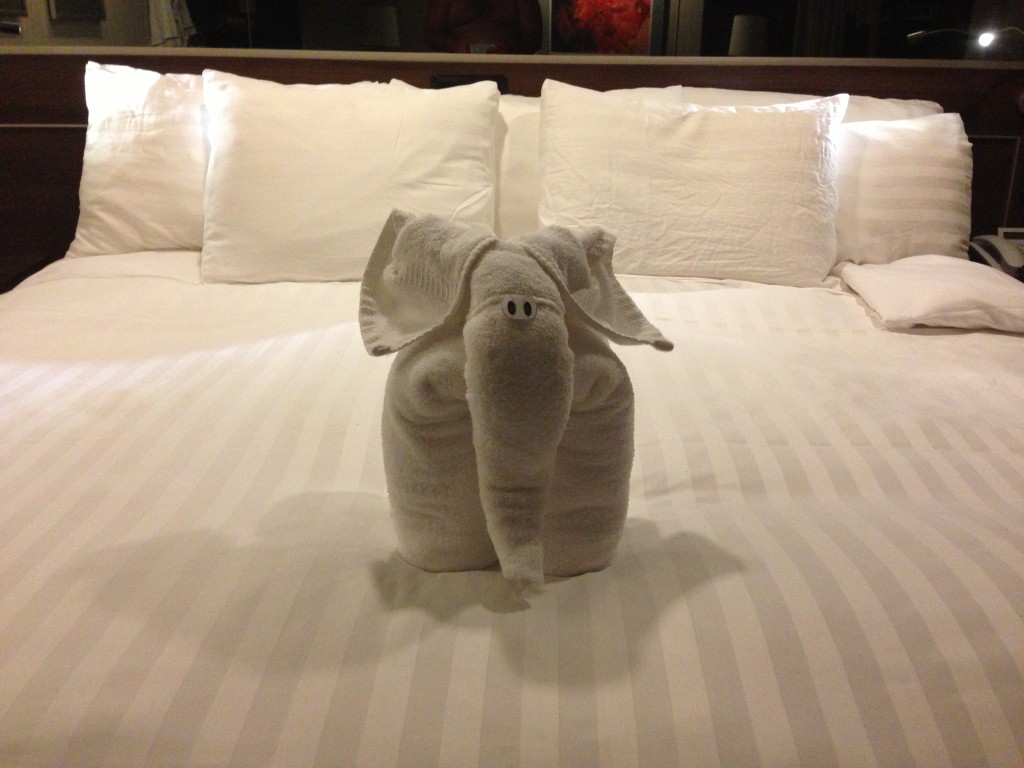 There's an elephant in the room and he's on by bed. A different creature shared the bed with me each night on this Holland America Line cruise on the ms Eurodam