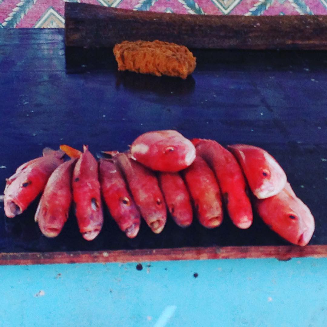 Fresh fish from the floating market along the water in Curacao