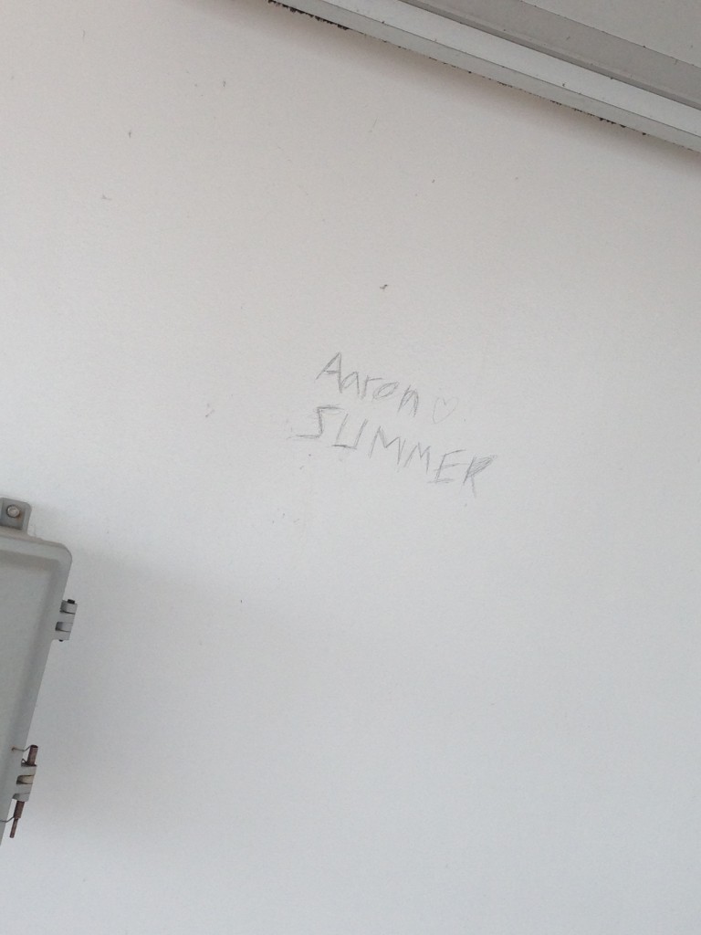 The imfamous Aaron Summer who felt the need to vandalize the Carnival Liberty.