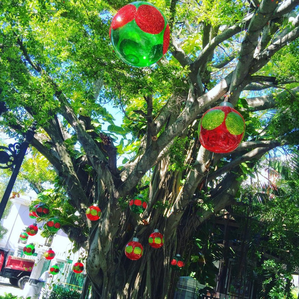 Christmas decorations in San Juan