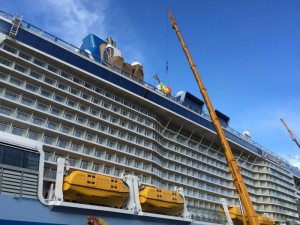 Anthem of the Seas' newest resident - a giraffe wearing a swimsuit and buoy. Photo credit: Royal Caribbean