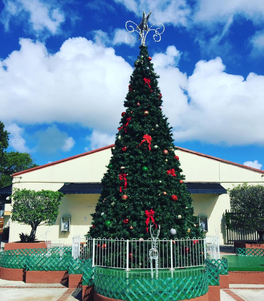 The Christmas tree at the Havensight Shopping Mall in St. Thomas