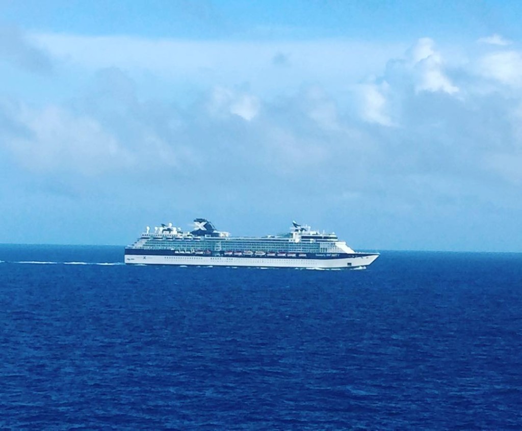 Celebrity Infinity passing the MSC Divina at sea