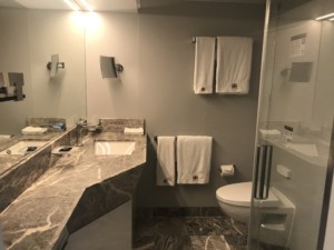 The bathroom in Yacht Club Suite 16007 on MSC Seaside