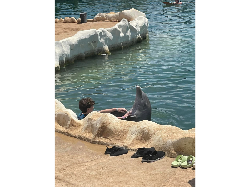 Swimming with dolphins in Costa Maya