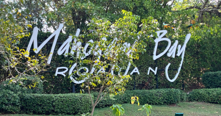 Welcome to Mahogany Bay!