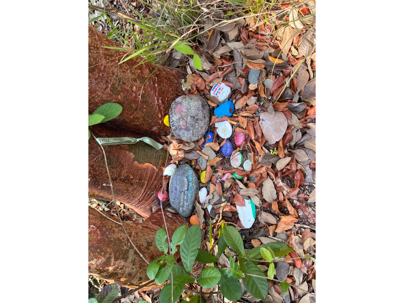 Sights along the nature trail in Mahogany Bay