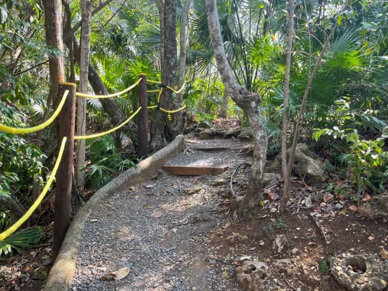 Sights along the nature trail in Mahogany Bay