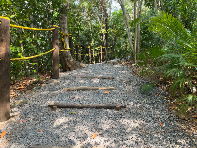 Sights along the nature trail in Mahogany Bay