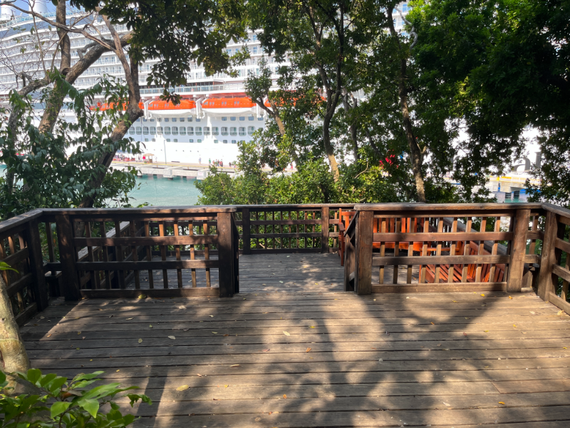 Sights along the nature trail in Mahogany Bay