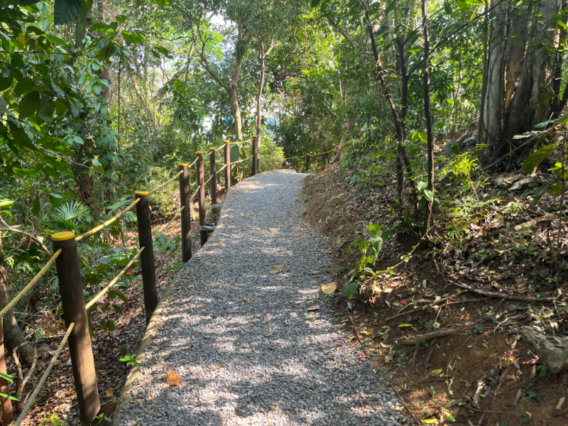 Sights along the nature trail in Mahogany Bay