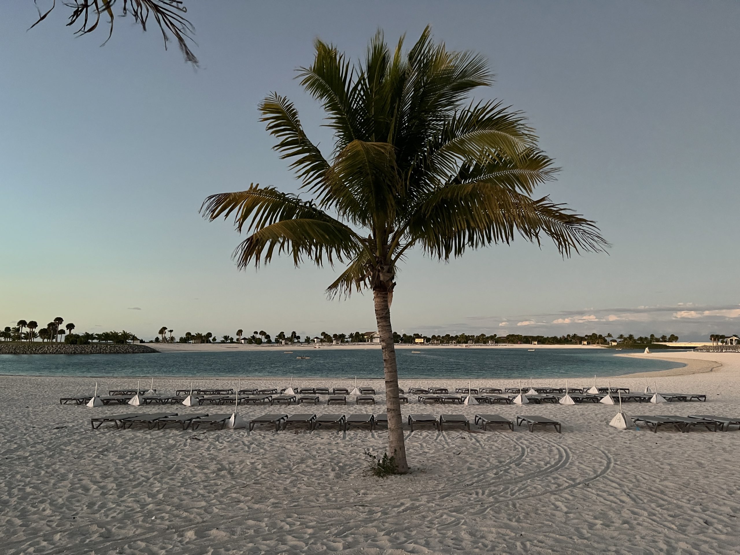 A view of South Beach on Ocean Cay Marine Reserve