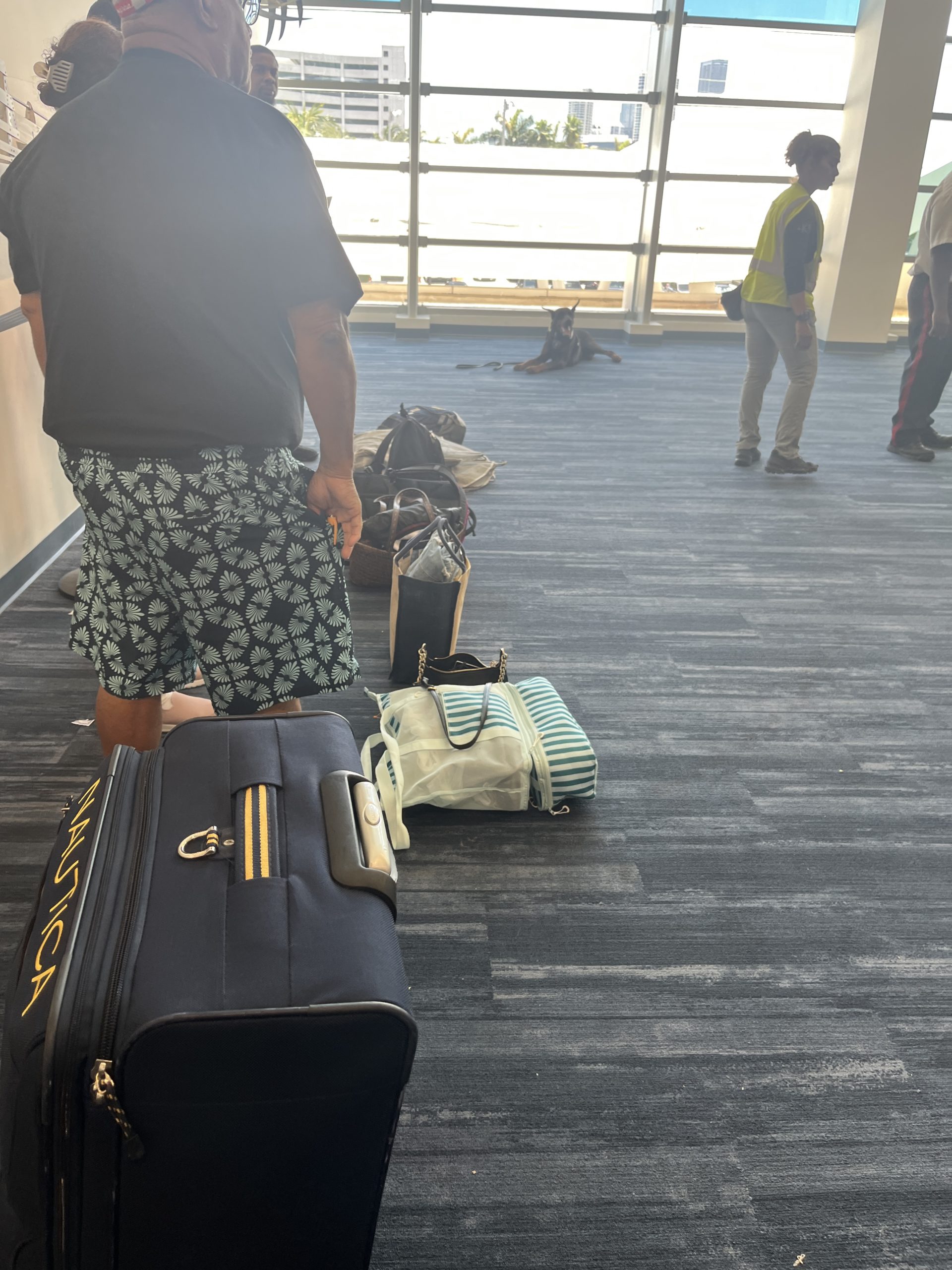 Drug sniffing dog set to sniff bags before passengers head through security at PortMiami