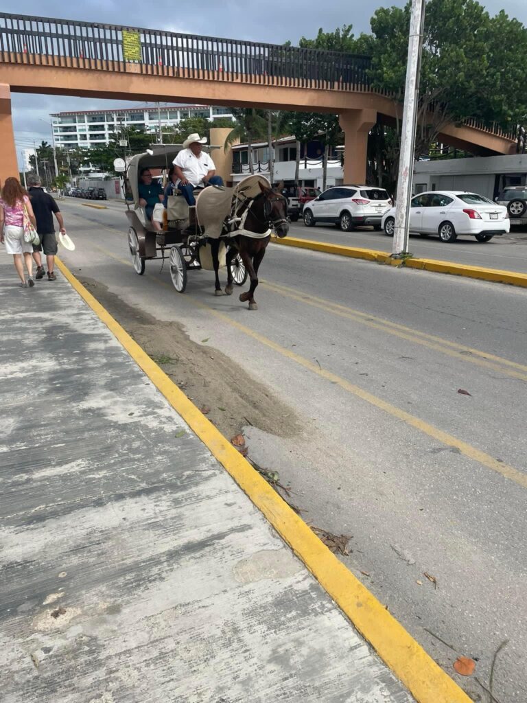 A look around Cozumel, Mexico