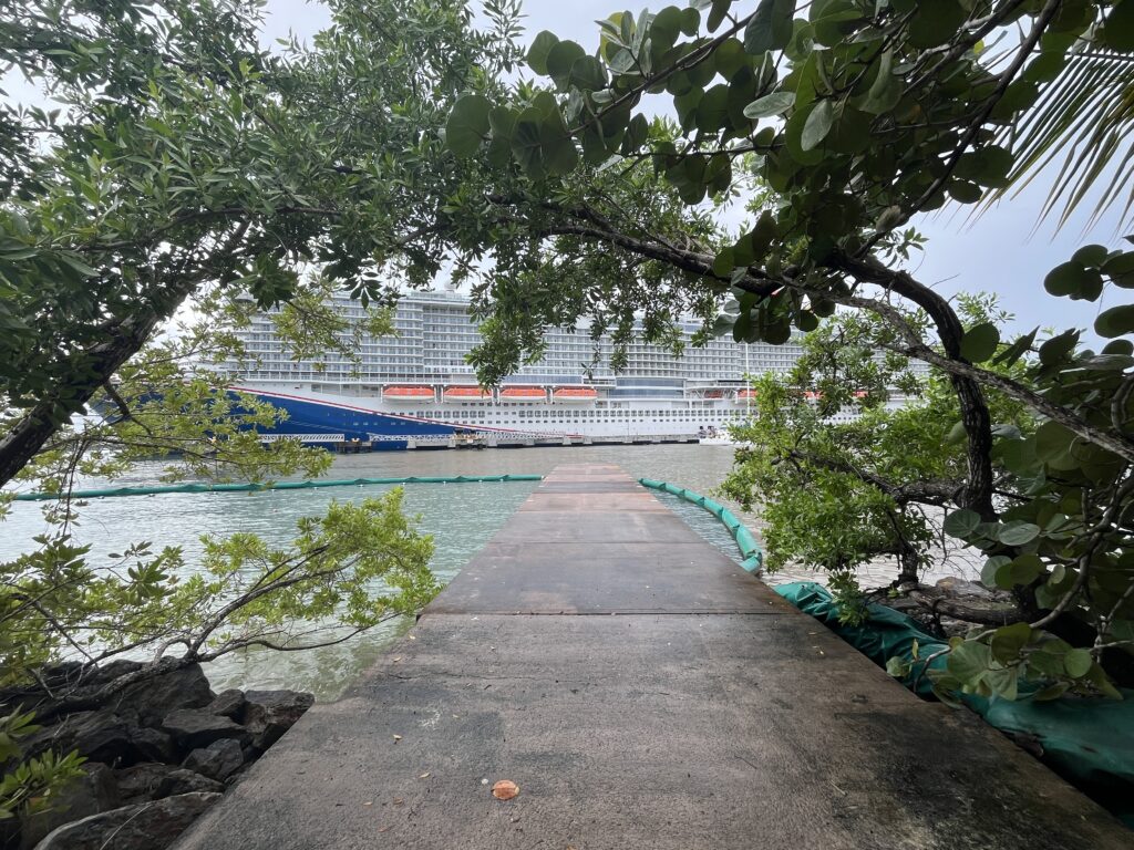 Nice views along the nature trail at Mahogany Bay