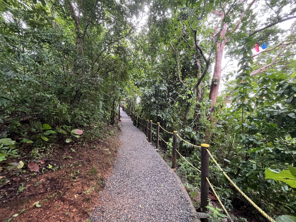 Nice views along the nature trail at Mahogany Bay