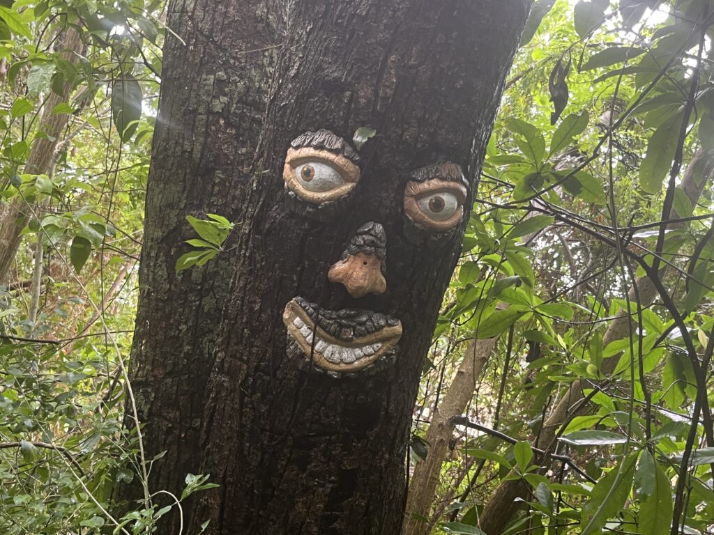 Nice views along the nature trail at Mahogany Bay