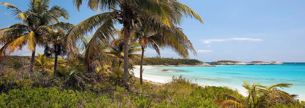 Half Moon Cay Nature Walk