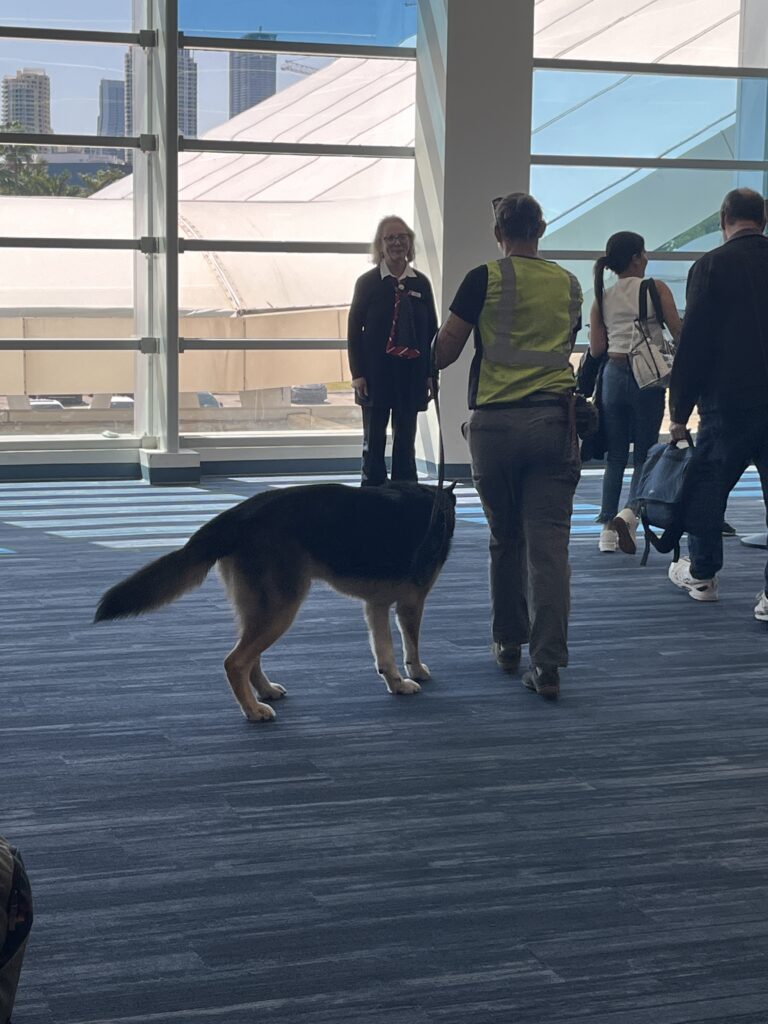 Drug dog on duty as we boarded the Carnival Celebration in Miami