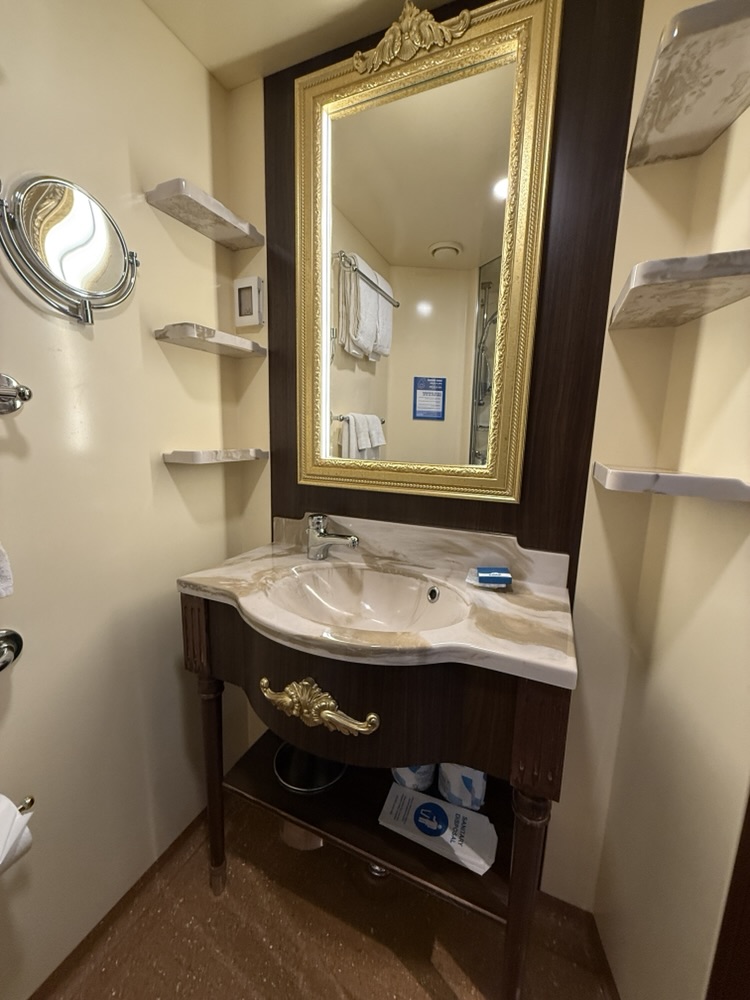 Bathroom of Stateroom 2338 on Carnival Venezia