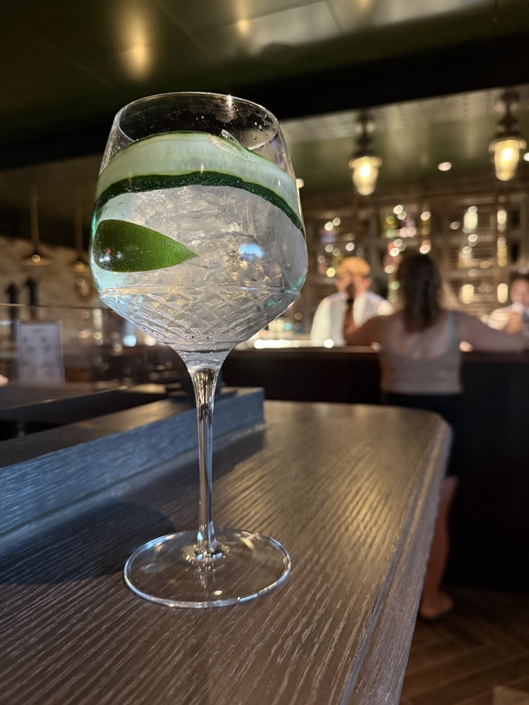 The Gin Project on MSC World America