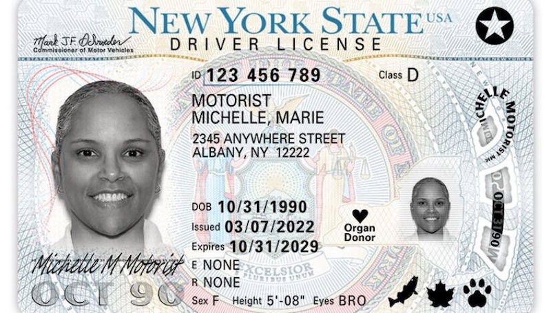 Real ID Sample License