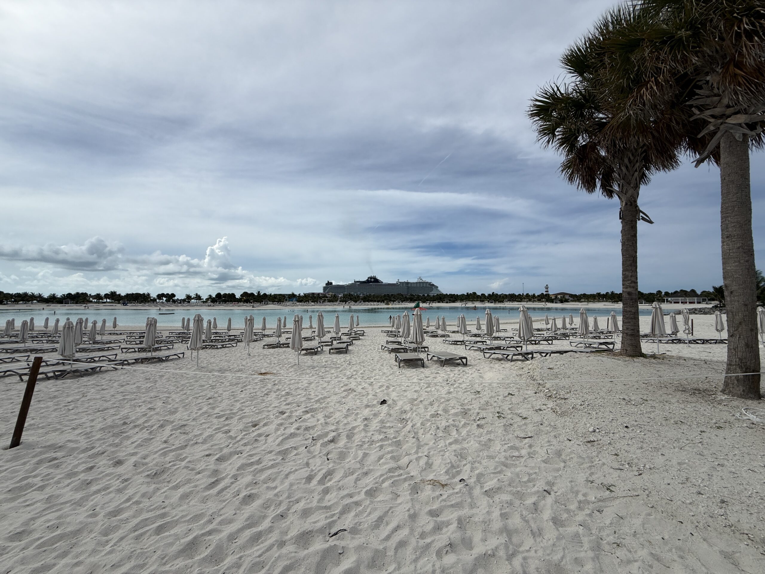 A view of MSC Seashore from North Beach on Ocean Cay Marine Reserve