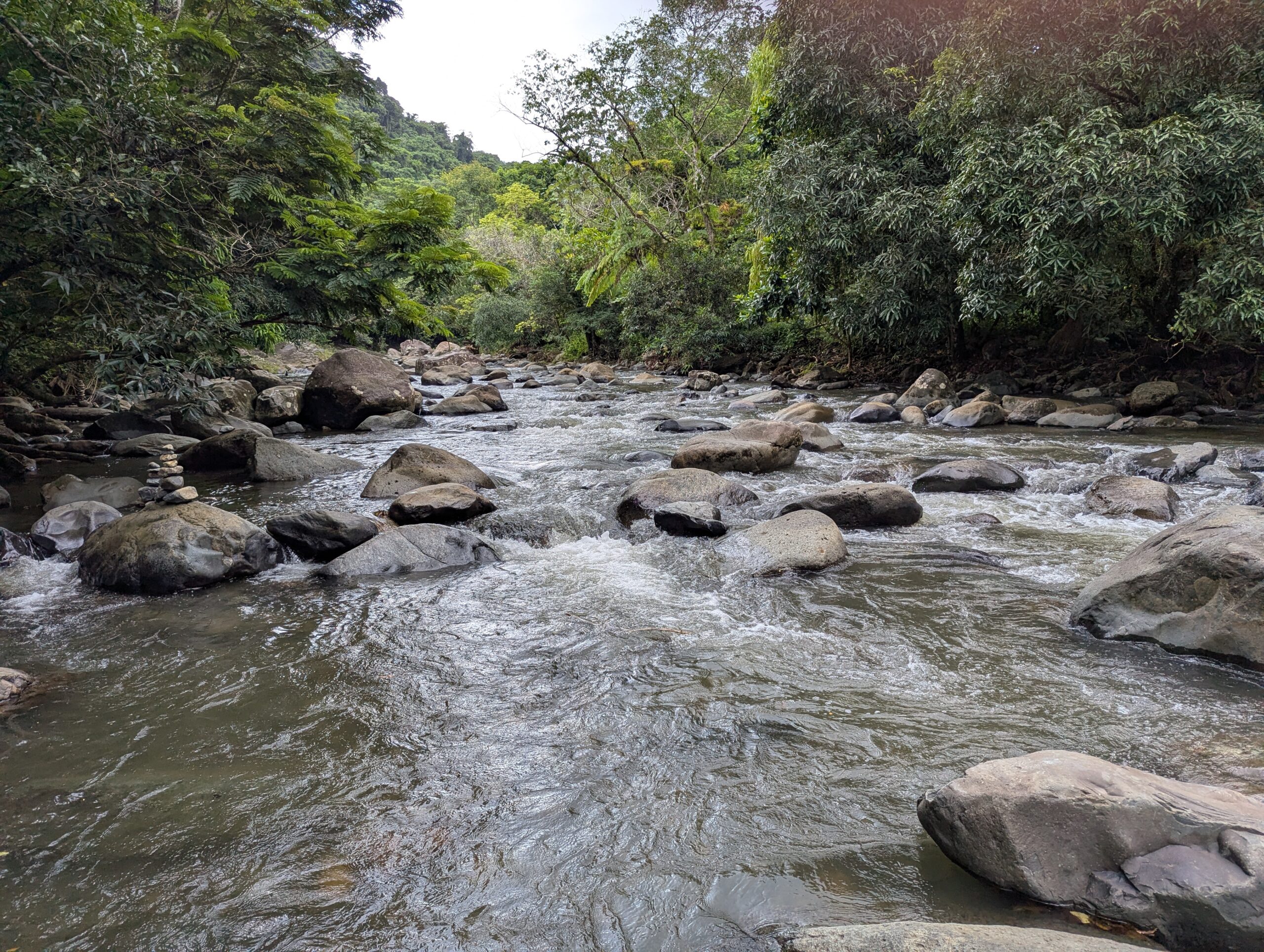 El Yunque Rainforest in San Juan