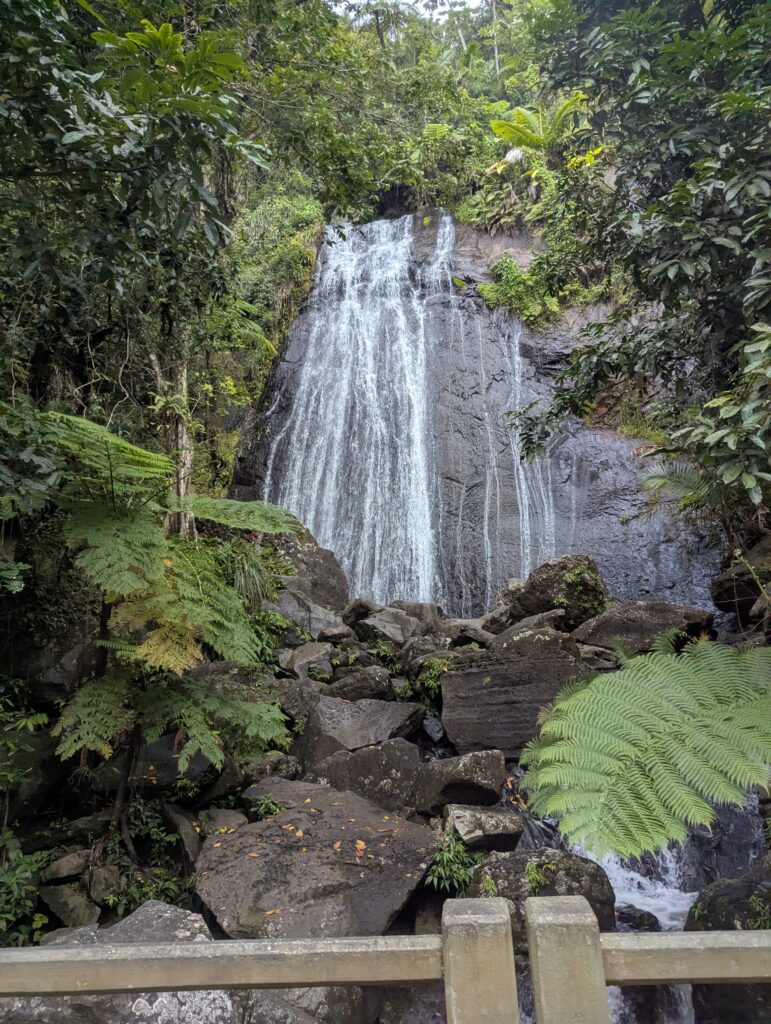 El Yunque Rainforest in San Juan
