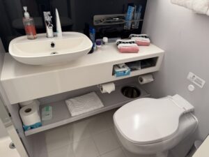 Bathroom in stateroom 14170A on Virgin Voyages Brilliant Lady