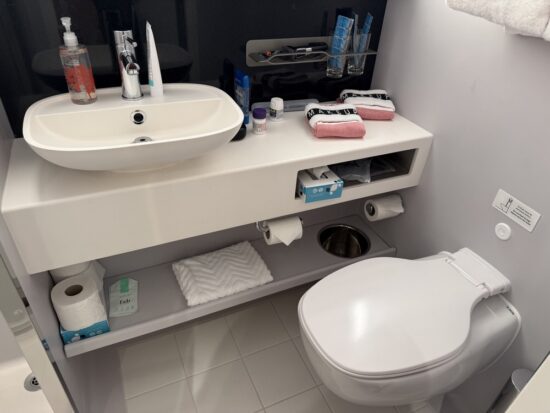 Bathroom in stateroom 14170A on Virgin Voyages Brilliant Lady