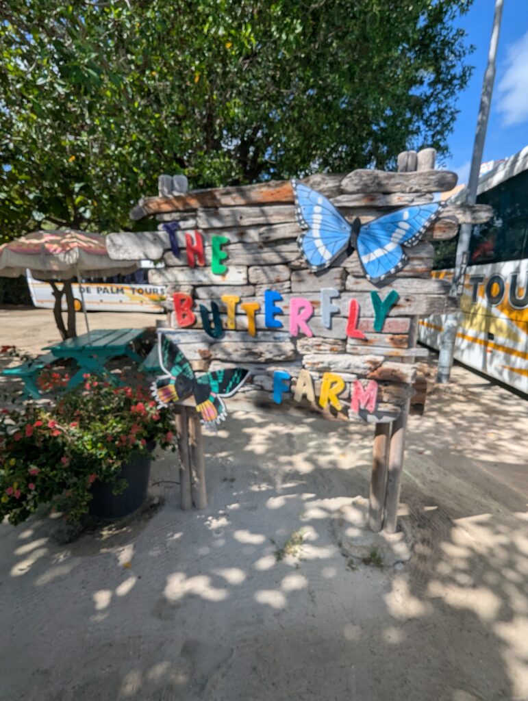 Butterfly Farm in Aruba