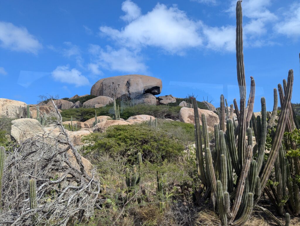 Natural Wonders of Aruba
