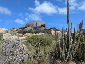 Natural Wonders of Aruba