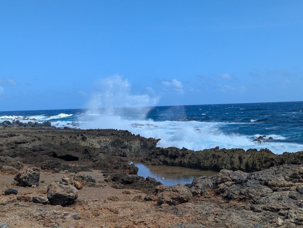 Natural Wonders of Aruba