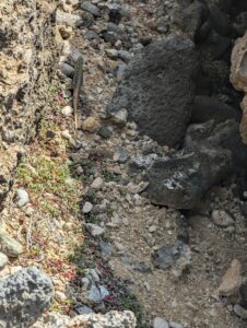 Sea Caves at Boca Tabla National Park