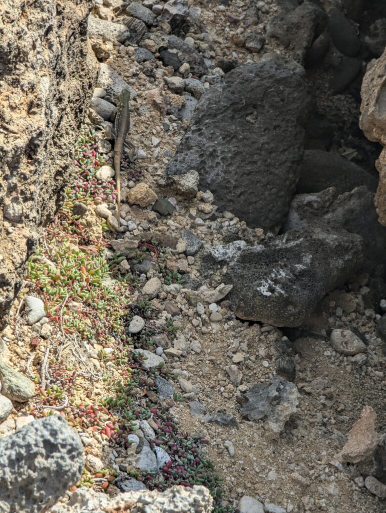 Sea Caves at Boca Tabla National Park