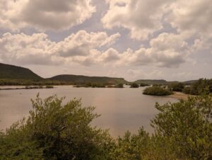 Jan Kok salt flats, minus flamingo's