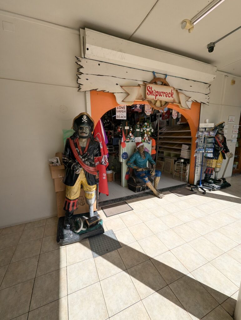 Port of St. Thomas, Antiqua from the Disney Magic