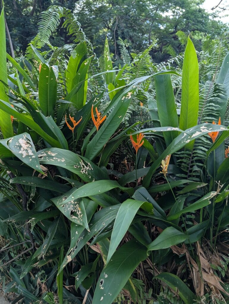 Grounds at Romney Manor