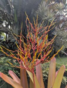 Grounds at Romney Manor