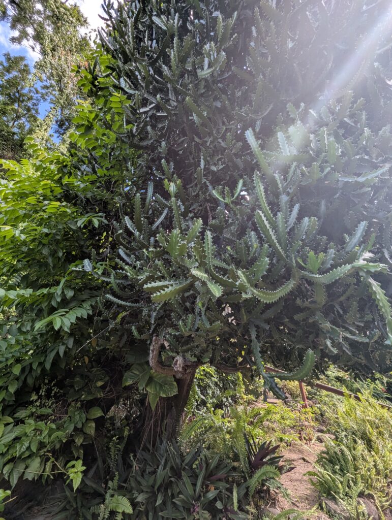 Grounds at Romney Manor