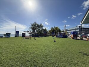Greenspace at the Port of Scarborough in Tobago