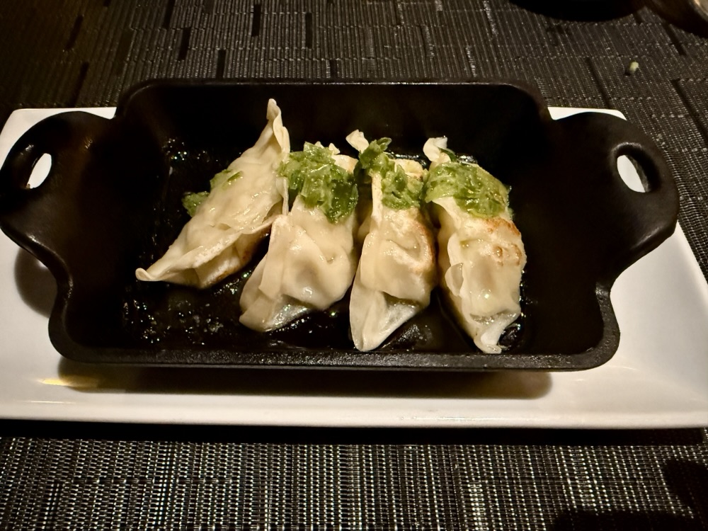 Pork Gyoza Dumplings from Morimoto at Sea on Rotterdam
