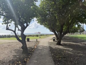 A small park near the Bridgetown, Barbados cruise port