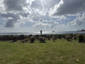 A small park near the Bridgetown, Barbados cruise port
