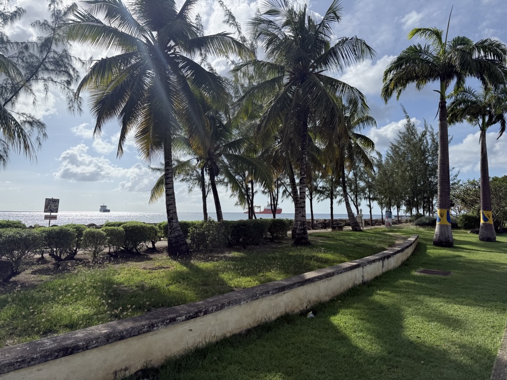 A small park near the Bridgetown, Barbados cruise port