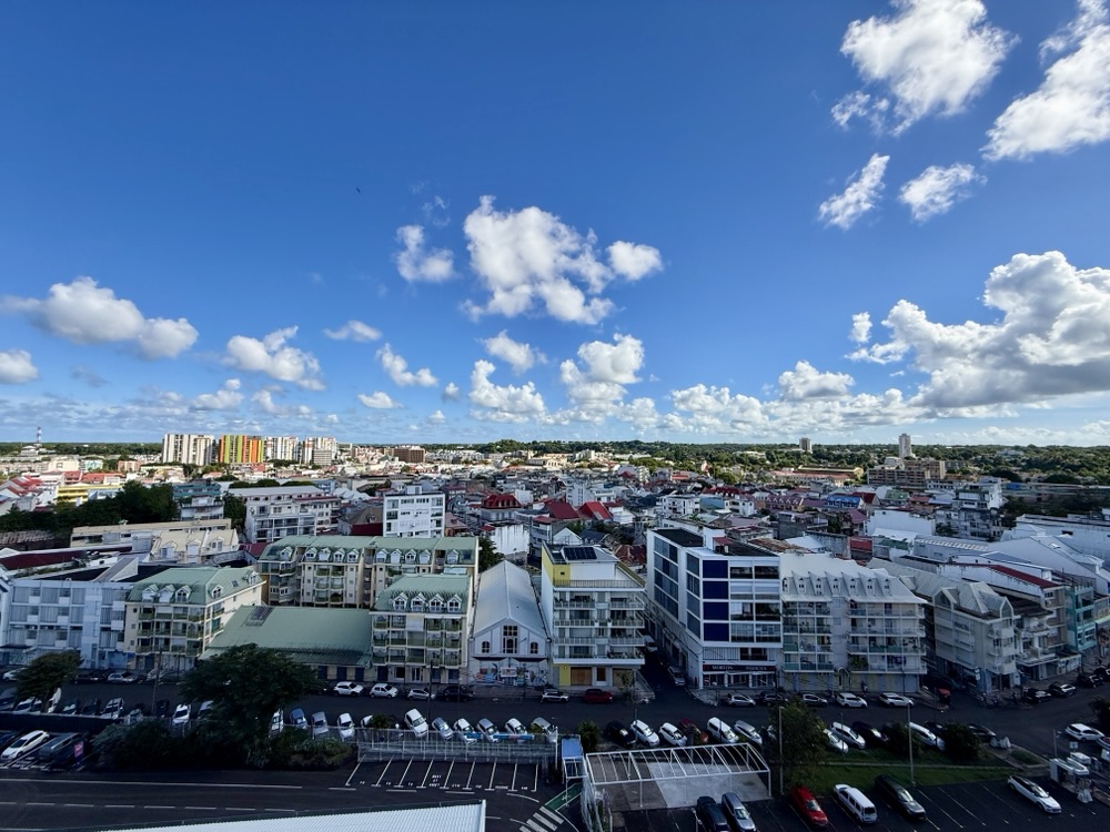 A look at Pointe-A-Pitre from the ship