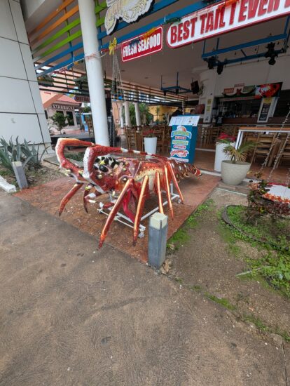 Sights from around Punta Langosta Cozumel