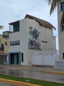 Sights from around Punta Langosta Cozumel